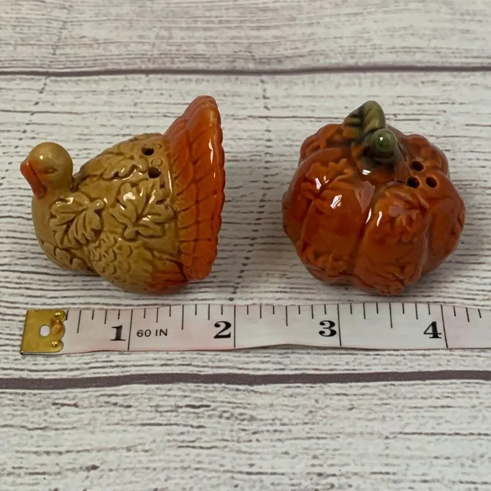 Turkey and Pumpkin Salt and Pepper Shaker Set Fall Dining Decor Thanksgiving